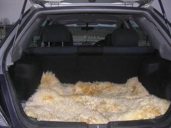 2005 Subaru Impreza Wagon Pictures