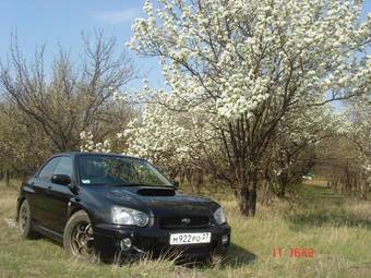 2003 Subaru Impreza WRX For Sale