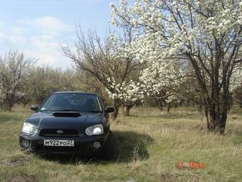 2003 Subaru Impreza WRX For Sale