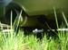 Pictures Subaru Legacy B4