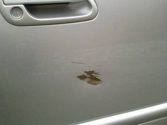 2000 Subaru Legacy B4 Pictures