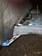 Preview Subaru Legacy B4