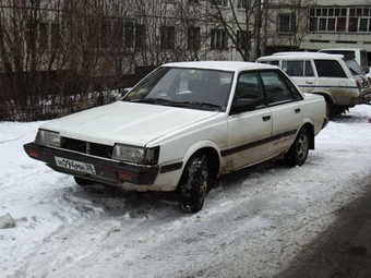 1986 Leone