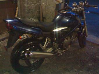 1999 Suzuki BANDIT 250V Photos
