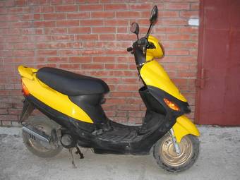2008 Suzuki Goose Pictures