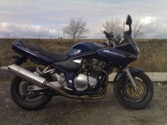 2001 Suzuki GSF1200S Pictures