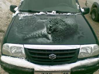 2001 Suzuki Vitara Pictures
