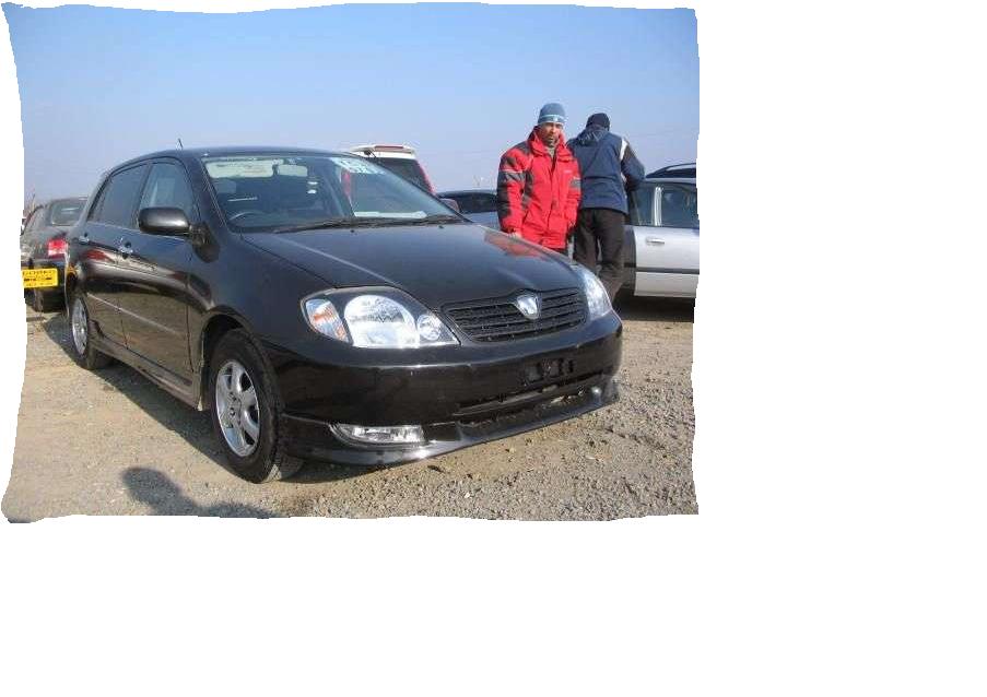 2001 Toyota Allex