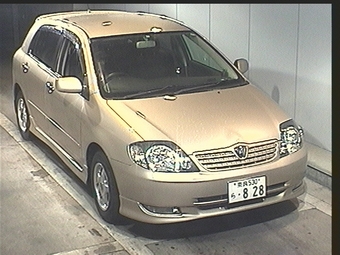 2001 Toyota Allex