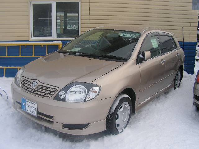 2001 Toyota Allex