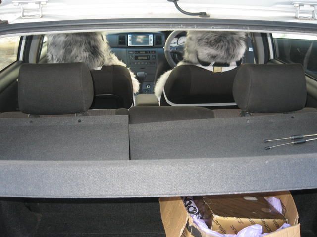 2001 Toyota Allex