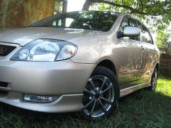 2001 Toyota Allex