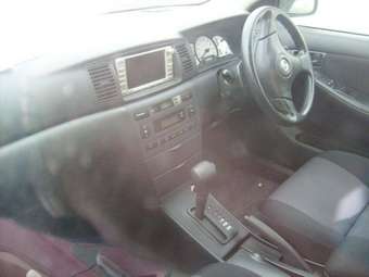 2001 Allex