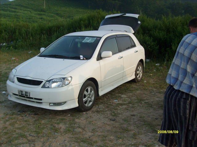 2001 Toyota Allex