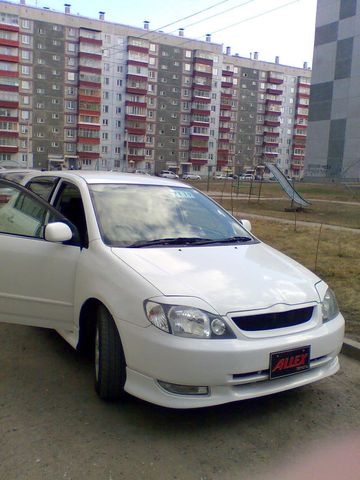 2001 Toyota Allex