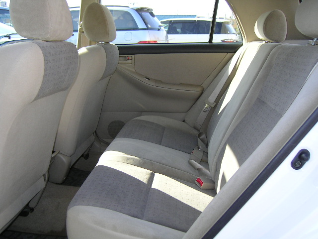 2001 Toyota Allex Pictures