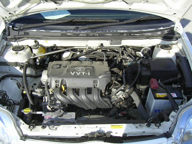 2001 Toyota Allex Photos