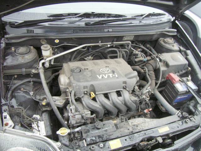 2001 Toyota Allex Pictures