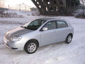 2001 Toyota Allex Photos