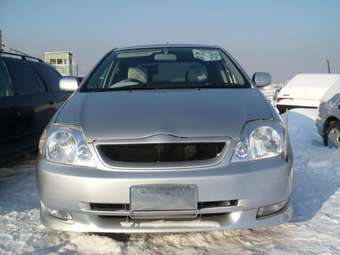 2001 Toyota Allex For Sale