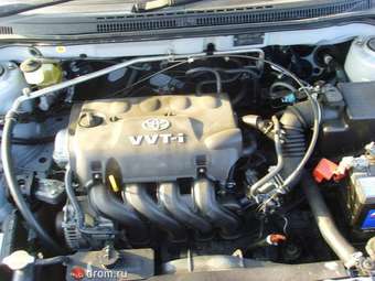 2001 Toyota Allex Pictures