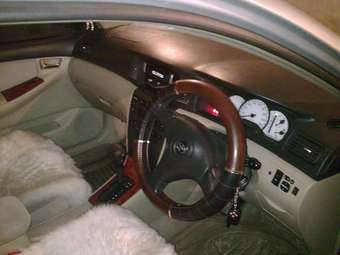 2001 Toyota Allex Photos