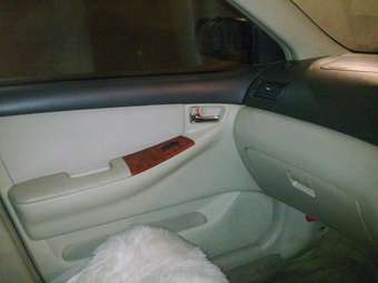 2001 Toyota Allex Photos