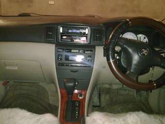 2001 Toyota Allex Pictures