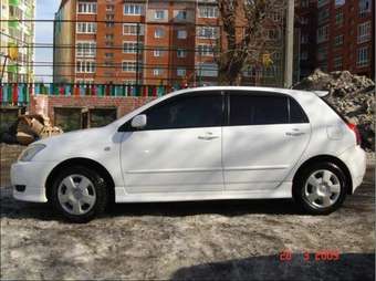 2001 Toyota Allex Photos