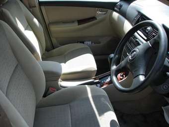 2001 Toyota Allex Pictures