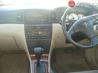 2001 Toyota Allex Pictures