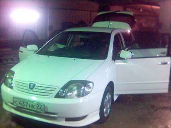 2001 Toyota Allex Photos