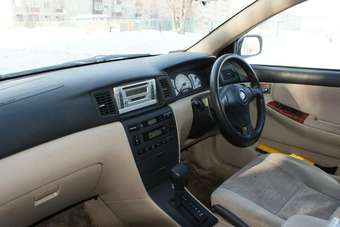 2001 Toyota Allex Pictures