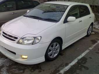2001 Toyota Allex Pictures