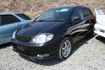 2001 Toyota Allex Pictures