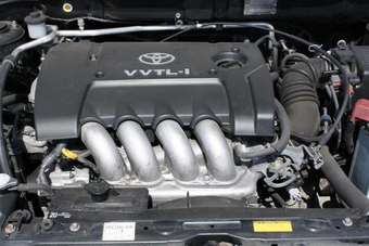 2001 Toyota Allex Pictures