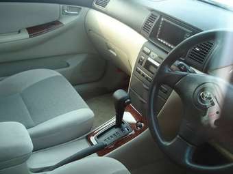 2001 Toyota Allex Pictures