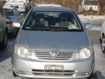 2001 Toyota Allex Photos