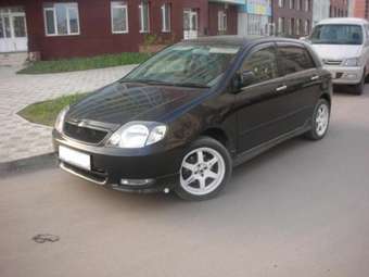 2001 Toyota Allex Pictures