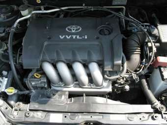 Toyota Allex