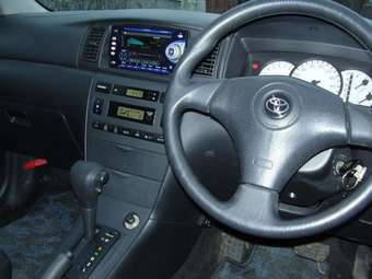 2002 Allex