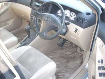 2002 Toyota Allex Pictures