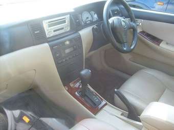 2002 Toyota Allex Photos