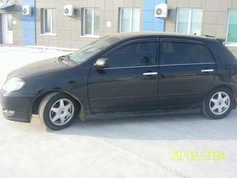 2002 Toyota Allex Pictures
