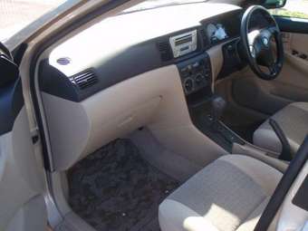 2002 Toyota Allex Photos