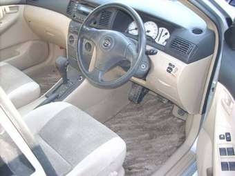 2002 Toyota Allex Pictures