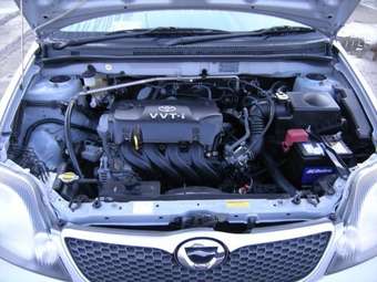 2002 Toyota Allex Pictures