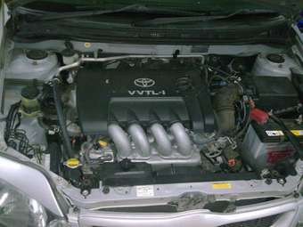 2002 Toyota Allex Pics