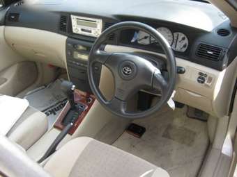 2002 Toyota Allex Pictures