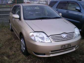 2002 Toyota Allex Pictures